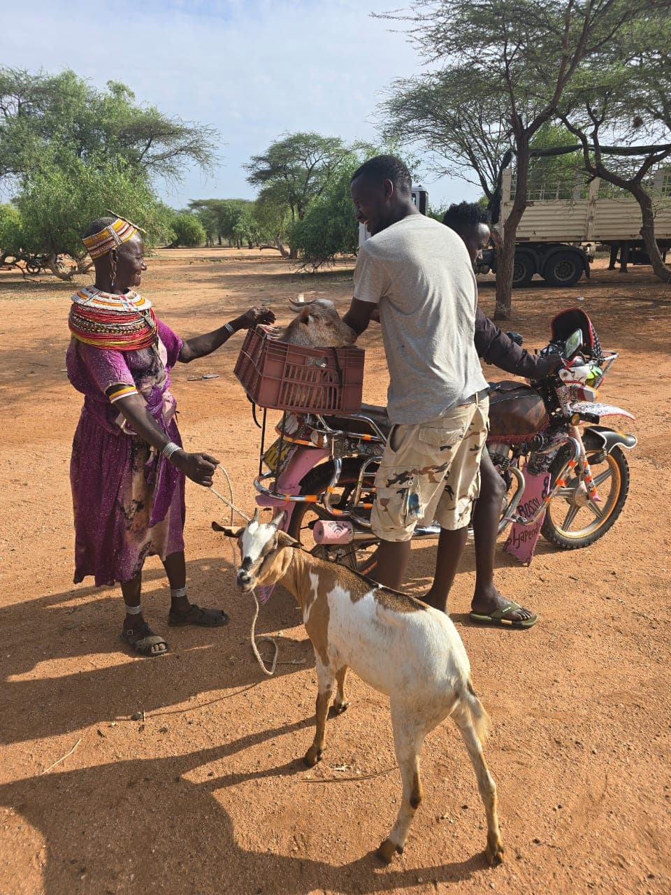 Community livestock handling during the Samburu and Marsabit livelihoods project